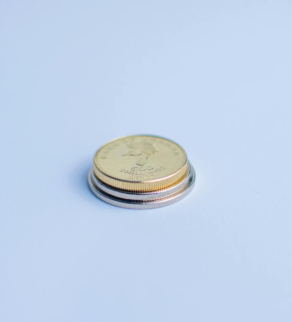 low commission fee online store 4 percent